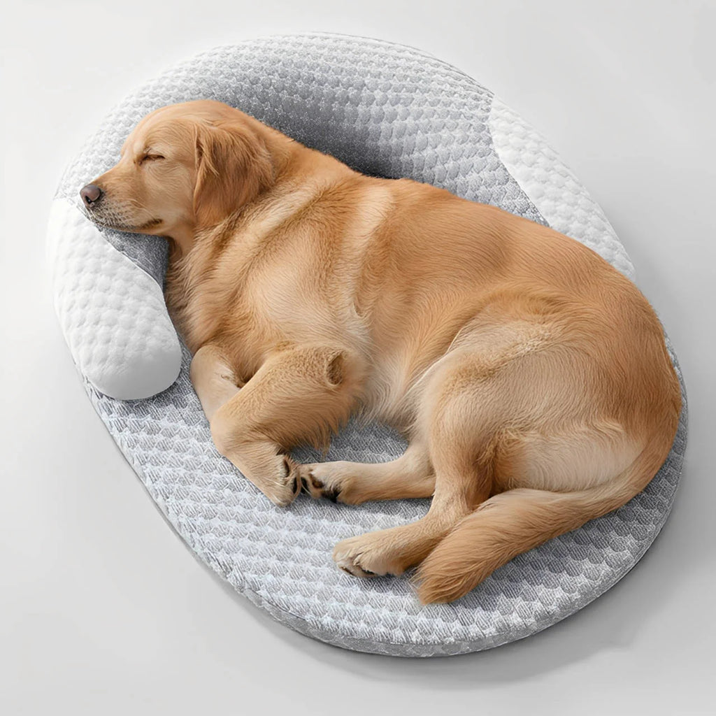 Lit Orthopédique Rafraîchissant pour Chien – Avec Coussin de Soutien Cervical