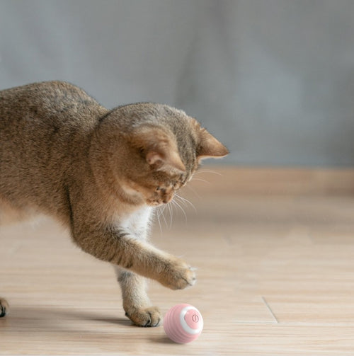 Balle Interactive Intelligente pour animaux Mouvement Automatique