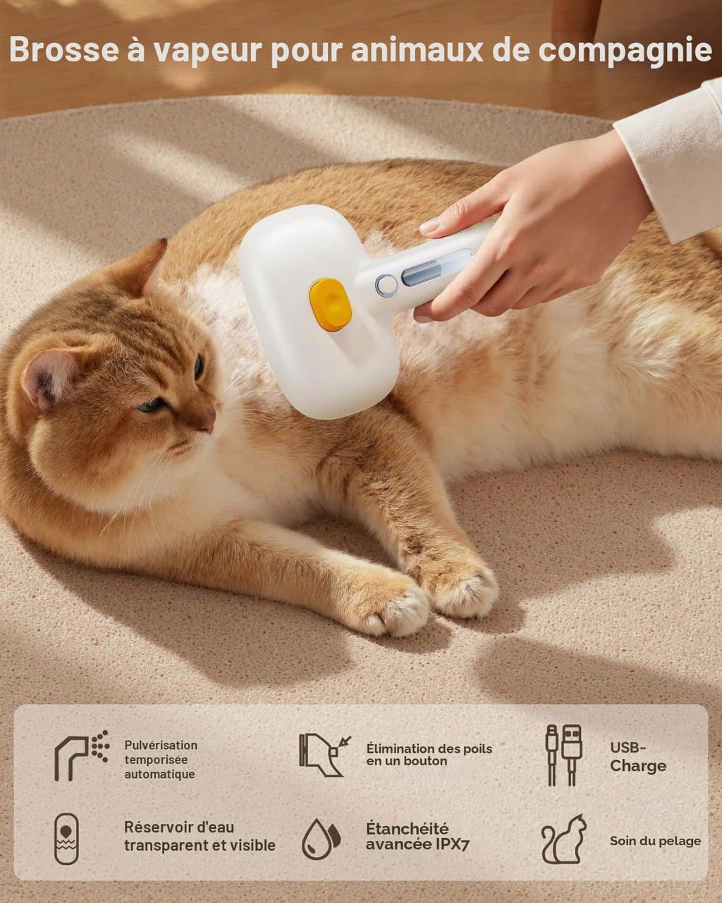 Brosse Vapeur 3-en-1 pour Chat et Chien
