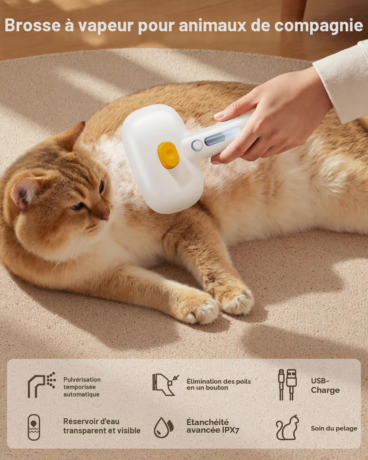 Brosse Vapeur 3-en-1 pour Chat et Chien