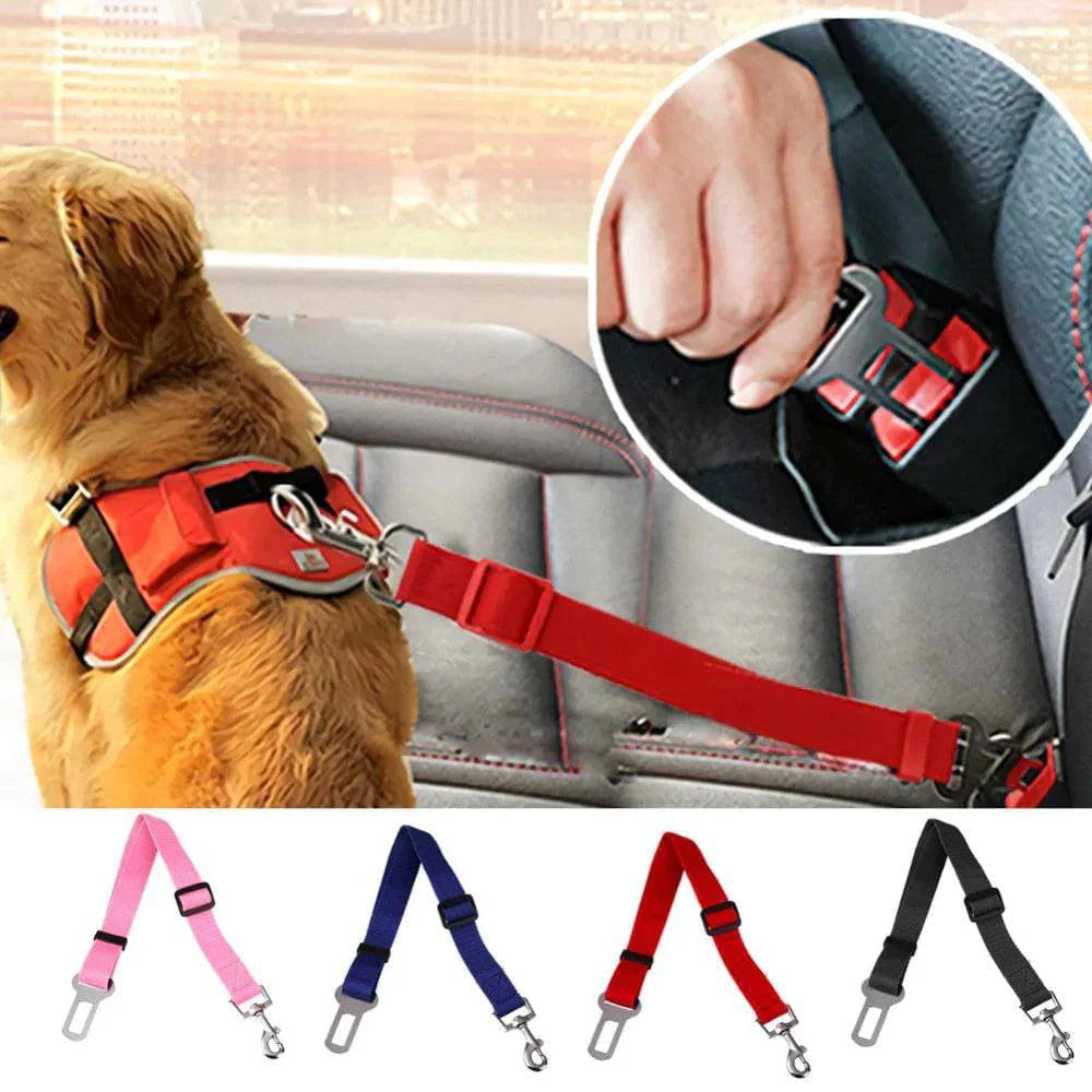 Ceinture de Sécurité pour Chien
