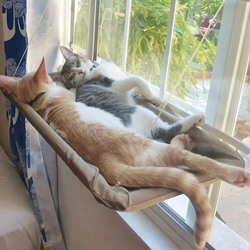 Hamac Suspendu pour Chat
