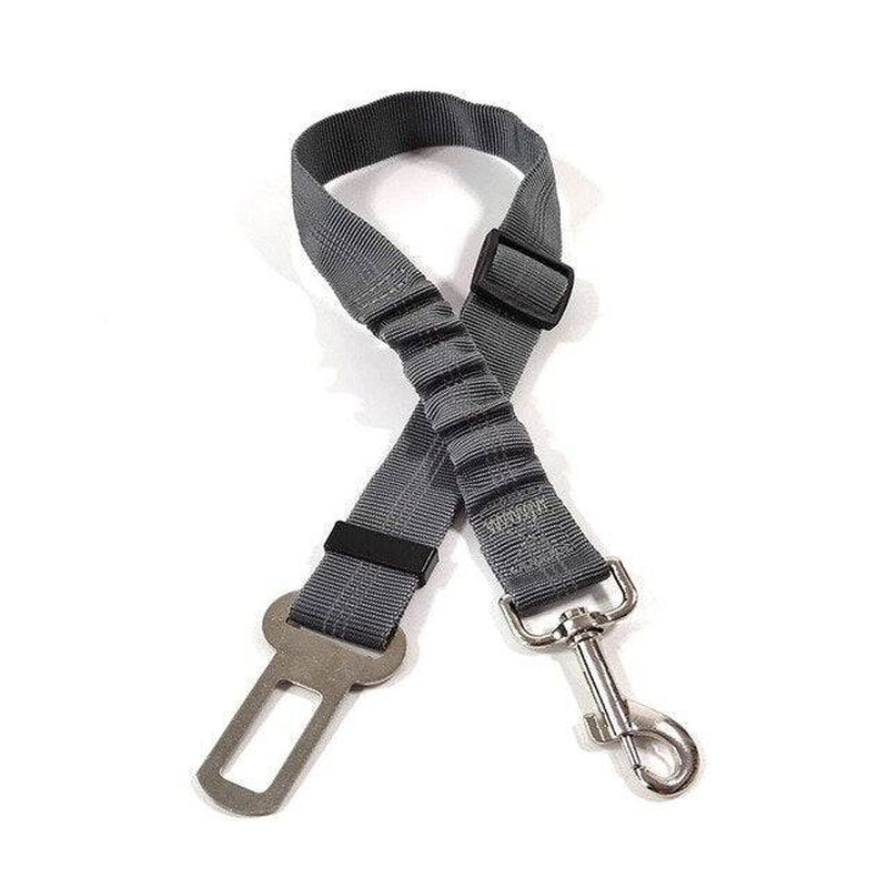 Ceinture de Sécurité pour Chien