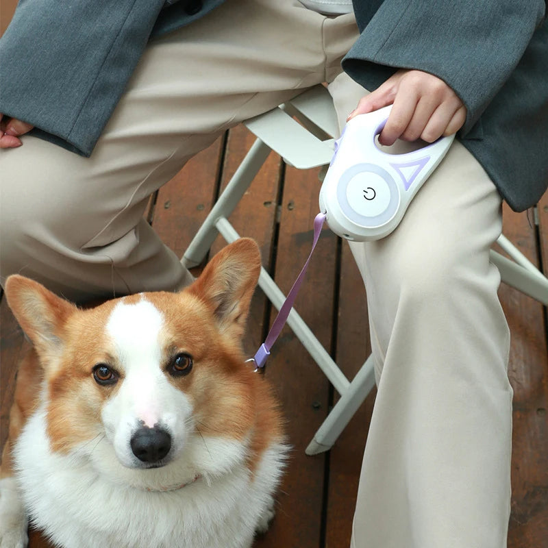 Laisse Rétractable pour Chien et Chat