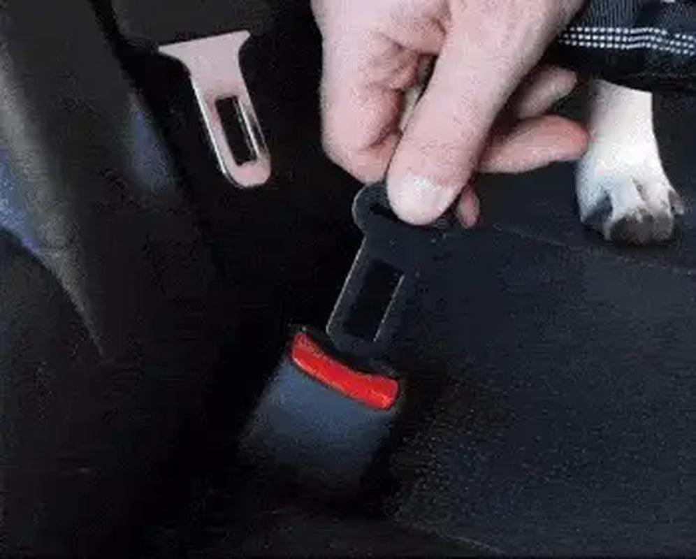 Ceinture de Sécurité pour Chien