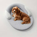 Lit Orthopédique Rafraîchissant pour Chien – Avec Coussin de Soutien Cervical